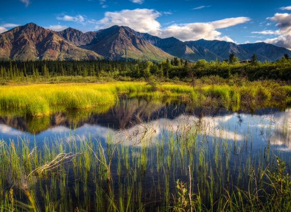 Discover Denali National Park & Preserve